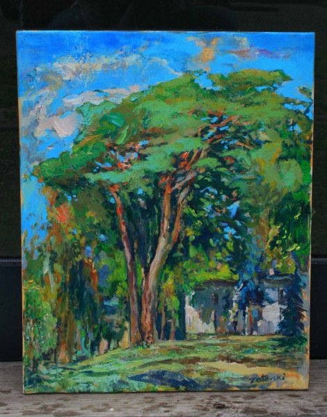 Sosna w słońcu akryl na płótnie 30x40.jpg