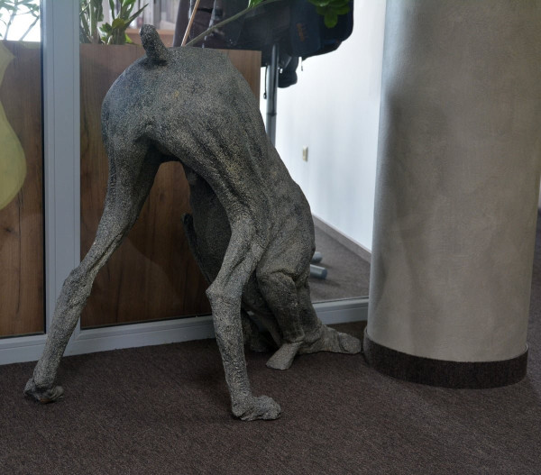 kuczyński vs sarnecki (8).jpg