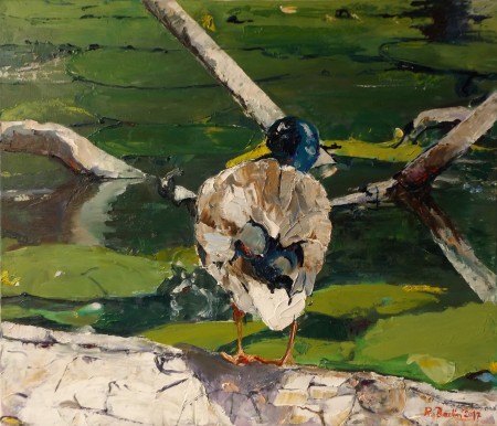 2017_09_VI_Dzika_kaczka_olej na płótnie_60x70cm .JPG