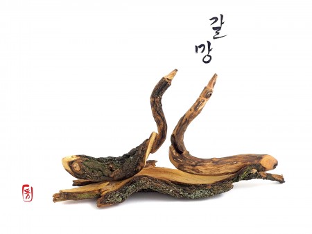 2. Seunguk Lee_razem do gwiazd_instalacja 3_40 x 30cm.JPG