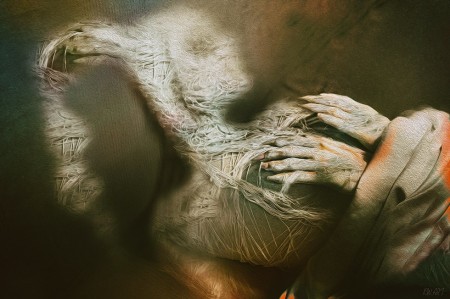 Meanders of the soul.jpg