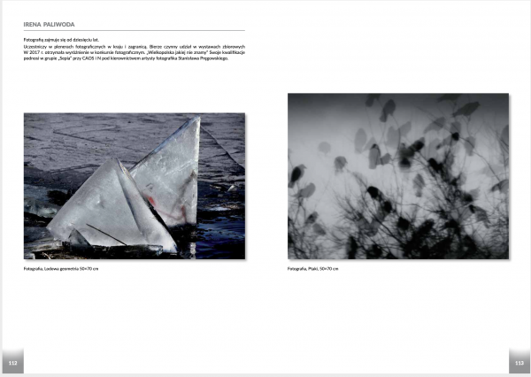 Zrzut ekranu 2020-10-10 o 11.04.52.png