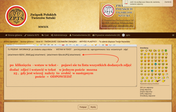 13wstawione w tekst.png