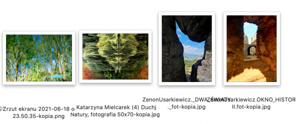 Zrzut ekranu 2021-06-26 o 22.42.35.png