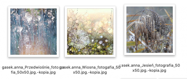 Zrzut ekranu 2021-06-26 o 22.42.55.png