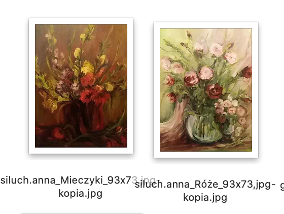 Zrzut ekranu 2021-06-26 o 22.43.05.png