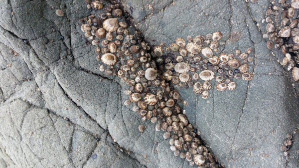 20150806_111432 kopia.jpg (1.18 MiB) Przejrzano 1733 razy 20150806_111432 kopia.jpg