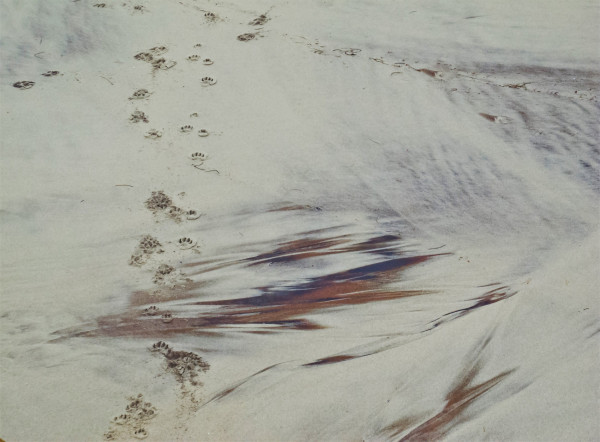 DSCN7599 kopia.jpg (666.1 KiB) Przejrzano 1733 razy DSCN7599 kopia.jpg