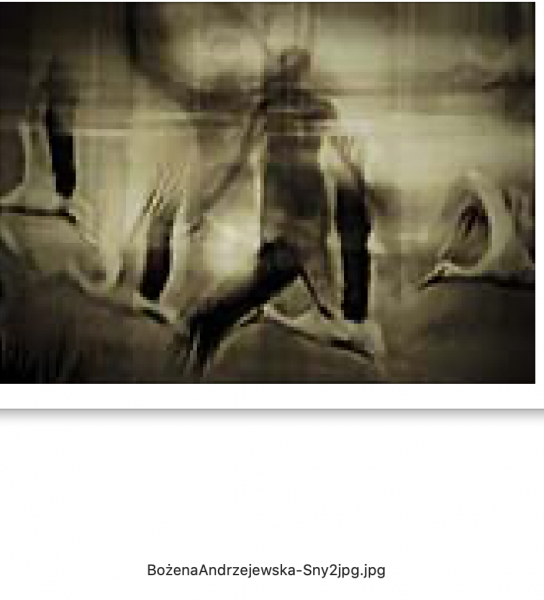 Zrzut ekranu 2022-10-29 o 12.52.22.png