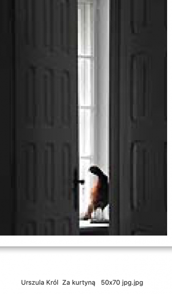 Zrzut ekranu 2022-10-29 o 12.57.33.png