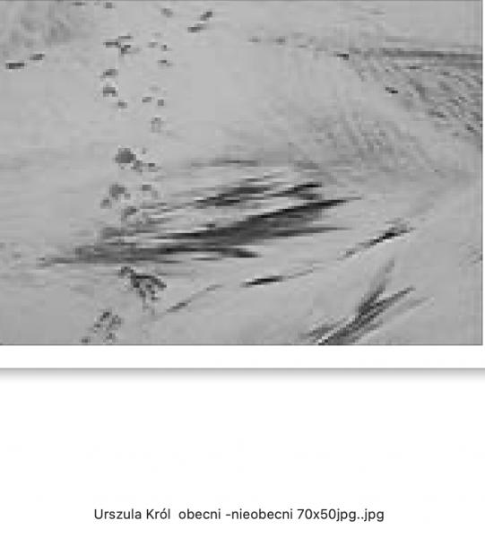 Zrzut ekranu 2022-10-29 o 12.57.02.png