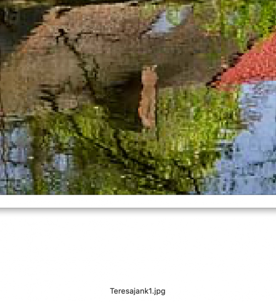 Zrzut ekranu 2022-10-29 o 12.56.39.png