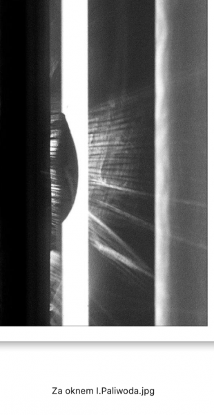 Zrzut ekranu 2022-10-29 o 12.59.15.png