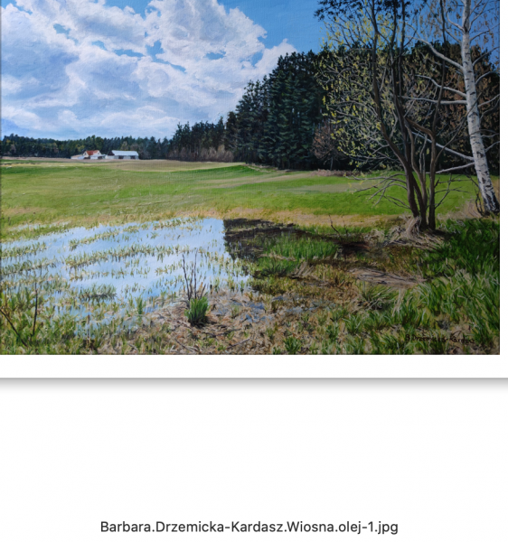 Zrzut ekranu 2022-10-29 o 12.52.04.png