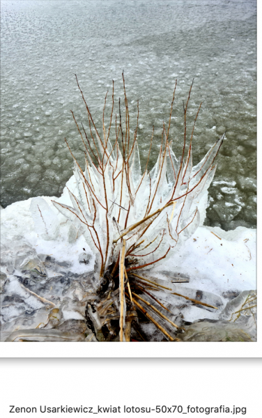 Zrzut ekranu 2022-10-29 o 13.45.18.png